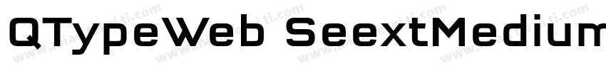 QTypeWeb SeextMedium W03 Rg字体转换